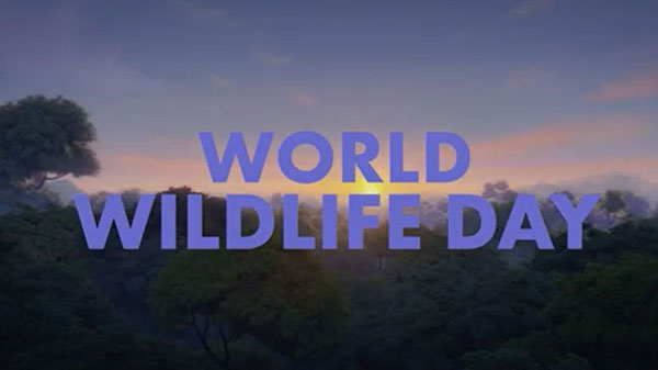 Happy World Wildlife Day !